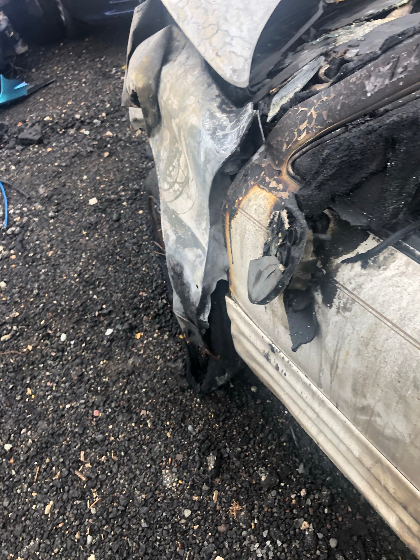 Larry Bird Custom signed 16x20 with Bird Hologram