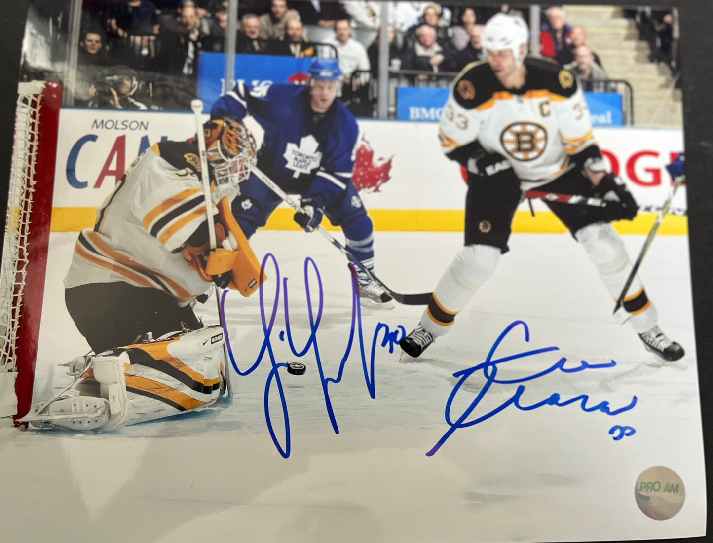 Boston Bruins Tim Thomas & Zdeno Chara dual 8x10 photo