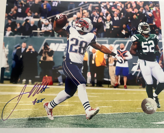 JAMES WHITE SIGNED 8X10  PATRIOTS SB CHAMPION