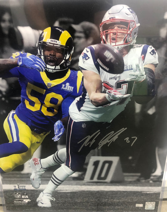Rob Gronkowski signed 16x20 "Last Catch" with  NEP Cert