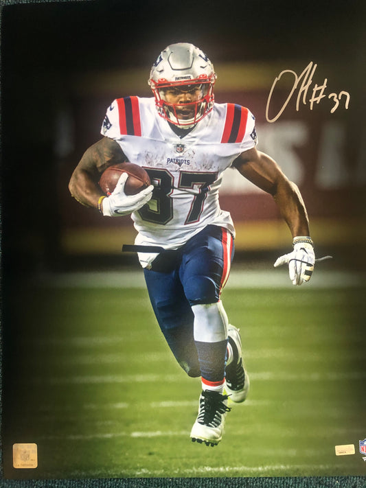 Damien Harris signed "spotlight" 16x20 Patriots New England Picture Cert